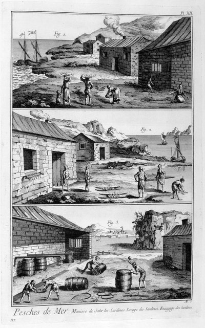 Saltning, tvättning, packning av sardiner, 1751-1777 av Unbekannt