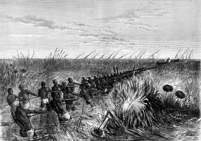Samuel Bakers båt halas genom flodgräs, 1864 1874 av Unbekannt
