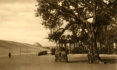 Saqqara - Stegpyramiden sett från Sycomore, c1918-c1939. av Unbekannt