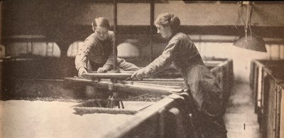 Skruva ner jästen i ett Burton-On-Trent-bryggeri, c1916, 1935 av Unbekannt