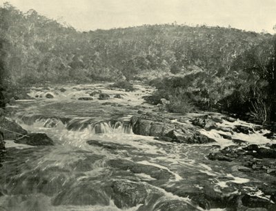 Andra bassängen, South Esk River, 1901. av Unbekannt