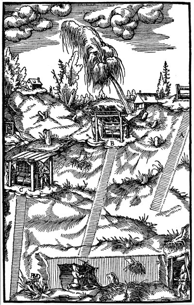 Sektionsvy av en tysk gruva, 1556 av Unbekannt