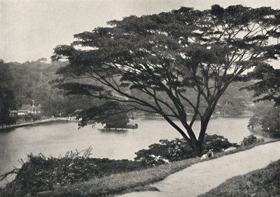 Lake, Temple of the Sacred Tooth Reed och bibliotek i Kandy, sett österut från Victoria Drive, 192 av Unbekannt