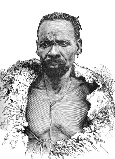 Trä, c1880 av Unbekannt