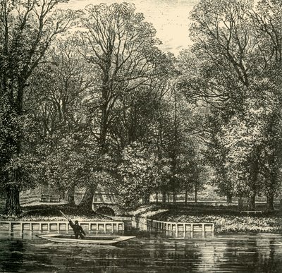 Sheep Bridge och Sixth Form Bench, 1911. av Unbekannt