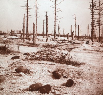 Shells, Verdun, norra Frankrike, c1914-c1918 av Unbekannt