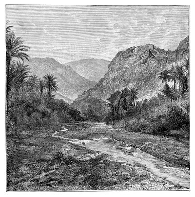 Sinai, Egypten, 1895 av Unbekannt