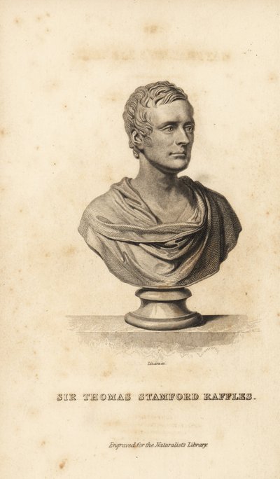 Sir Thomas Stamford Raffles, brittisk statsman, författare och naturforskare av Unbekannt