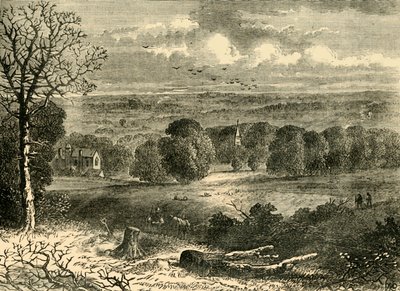 Plats för Crystal Palace 1852, c1878. av Unbekannt