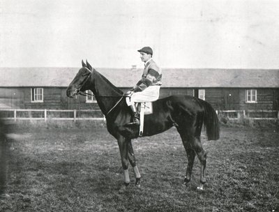 Skyskrapa, 1911. av Unbekannt