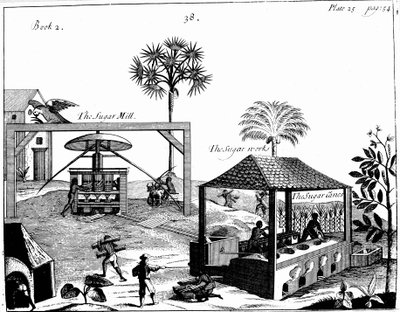 Slavarbete på en sockerplantage i Västindien, 1725 av Unbekannt