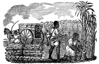 Slavar som skördar sockerrör i Louisiana, 1833 av Unbekannt