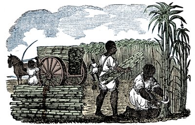 Slavar som skördar sockerrör i Louisiana, 1833 av Unbekannt