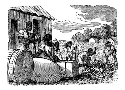 Slavar som arbetar på en tobaksplantage, 1833 av Unbekannt