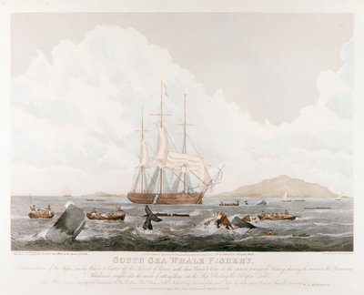 South Sea Whale Fishery, 1825 av Unbekannt