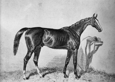 St. Albans, c1800-talet, 1911 av Unbekannt