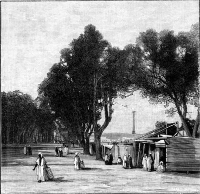 Gatubild med Pompeys pelare i fjärran, Alexandria, Egypten, 1900 av Unbekannt