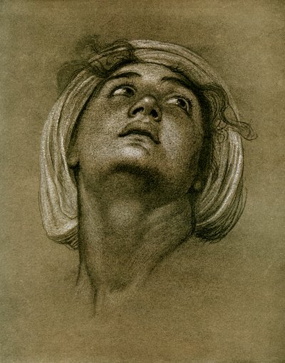 Studie av ett huvud, 1901 av Unbekannt