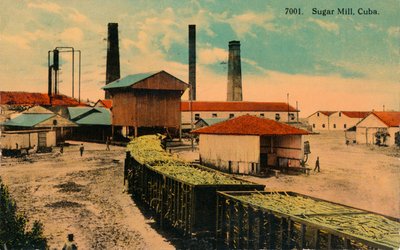 Sockerbruk, Kuba, c1913 av Unbekannt