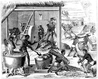 Sockerproduktion, 1873 av Unbekannt