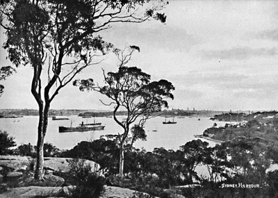 Sydney Harbour, från Cremorne Point, c1900. av Unbekannt