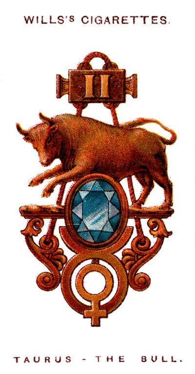 Oxen, Tjuren, 1923 av Unbekannt