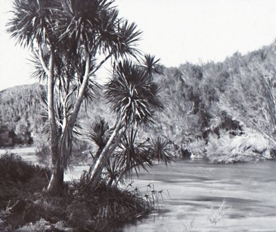 Te Waihou River, Okoroire, sent 1800-tidigt 1900-tal. av Unbekannt