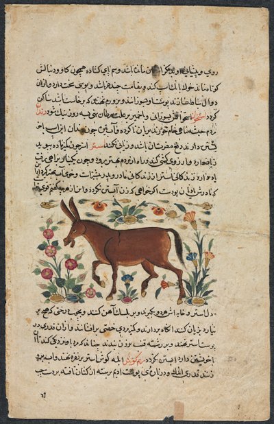 Textsida, persisk prosa recto, Khar Ass Verso, 1400-talet. av Unbekannt