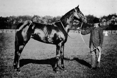 Thais, 1911 av Unbekannt