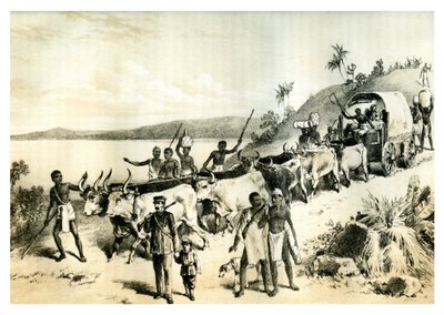 Ankomsten till sjön Ngami, 1883 av Unbekannt