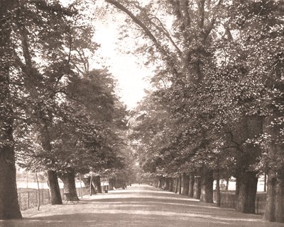 The Broad Walk, Oxford, 1894. av Unbekannt