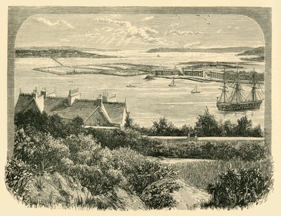 The Cove of Cork, 1898. av Unbekannt