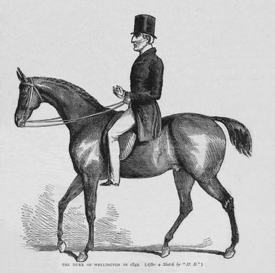 Hertigen av Wellington, c1842 1878 av Unbekannt