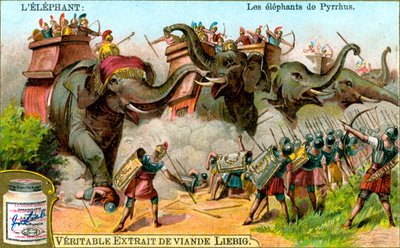 Elefanterna från Pyrrhus, c1900 av Unbekannt