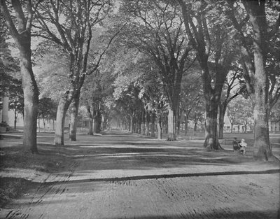 The Elms, New Haven, Connecticut, c1897. av Unbekannt