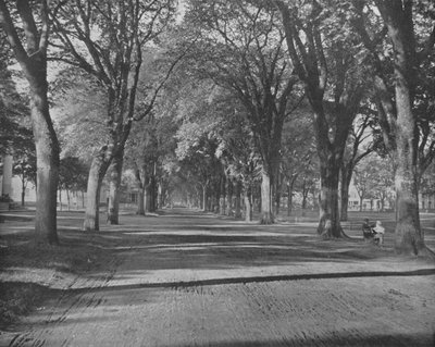 The Elms, New Haven, Connecticut, USA, c1900. av Unbekannt