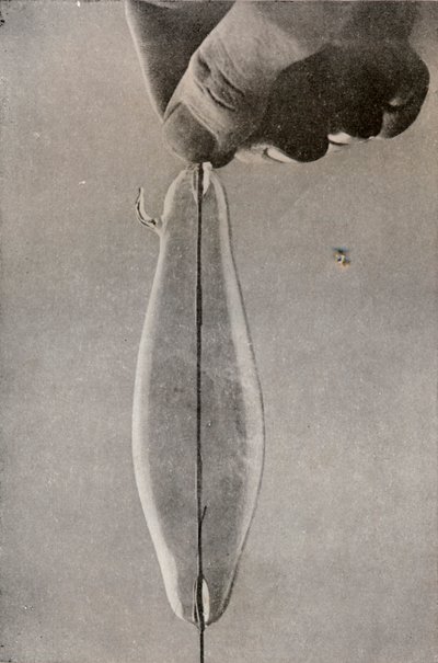 Den första elektriska glödlampan, c1916 av Unbekannt
