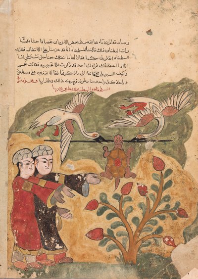 Sköldpaddans flykt, Folio från en Kalila wa Dimna, 1700-tal. av Unbekannt