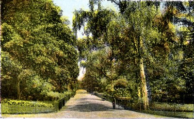 The Flower Walk, Kensington Gardens, London, 1900-talet av Unbekannt