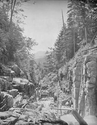 The Flume, Franconia White Mountains, N.H., c1897. av Unbekannt