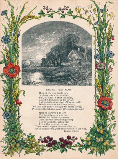 The Harvest Moon av Kirke White, c1900 av Unbekannt