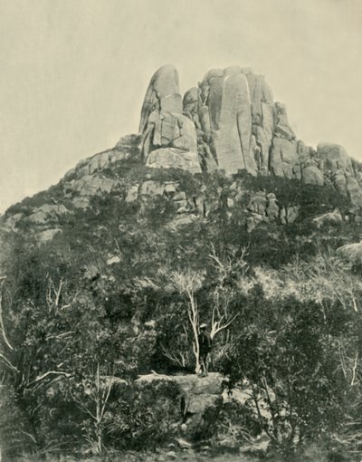 Puckeln, Buffalo Mountains, 1901. av Unbekannt