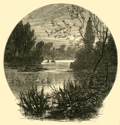 Sjön, Battersea Park, c1878. av Unbekannt