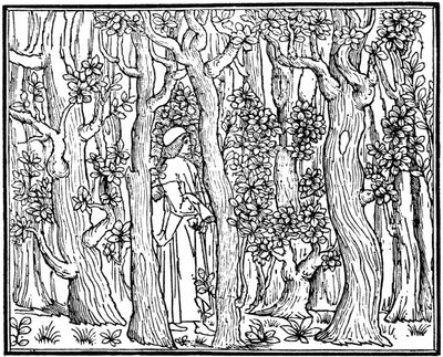 Älskaren i skogen, 1499 1964 av Unbekannt
