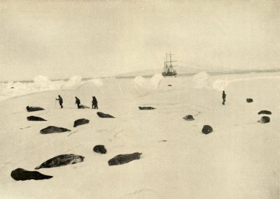 Nimrod vid Pram Point den 4 mars 1909 av Unbekannt