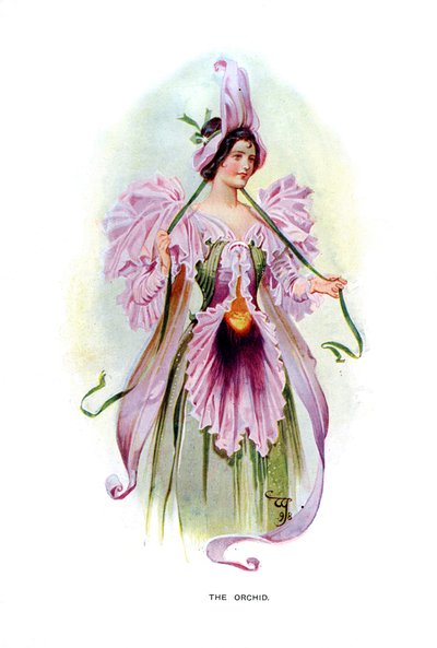 Orkidén, 1899 av Unbekannt