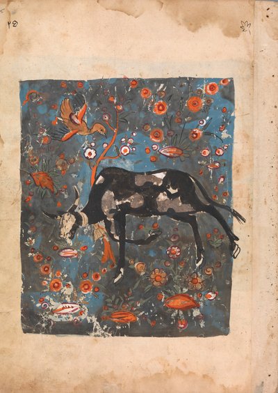 Oxen Shanzabeh kvarlämnad, betar i Lejonkungens territorium..., 1700-talet. av Unbekannt