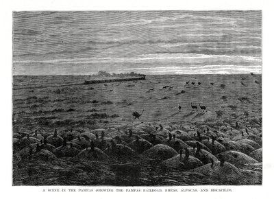 Pampas järnväg, sydamerikanska låglandet, 1877 av Unbekannt