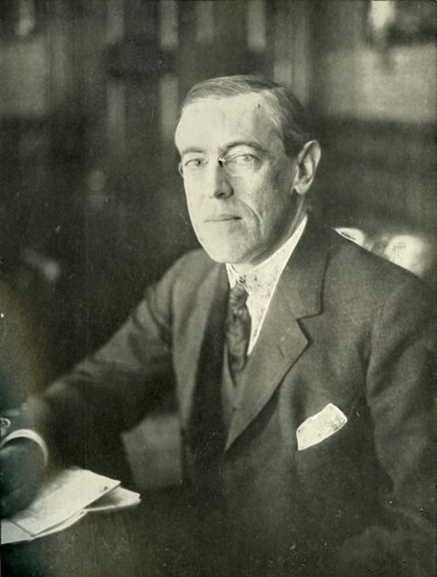 USA:s president, 1910-talet, 1919. av Unbekannt