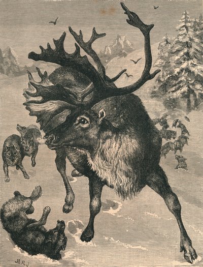 Renen, c1800-talet av Unbekannt